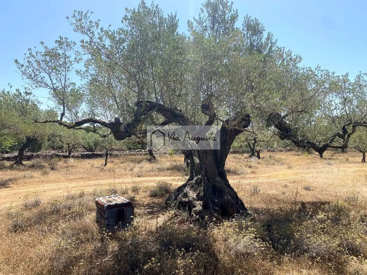 Terreno rustico in vendita a Bordes, imagen 8