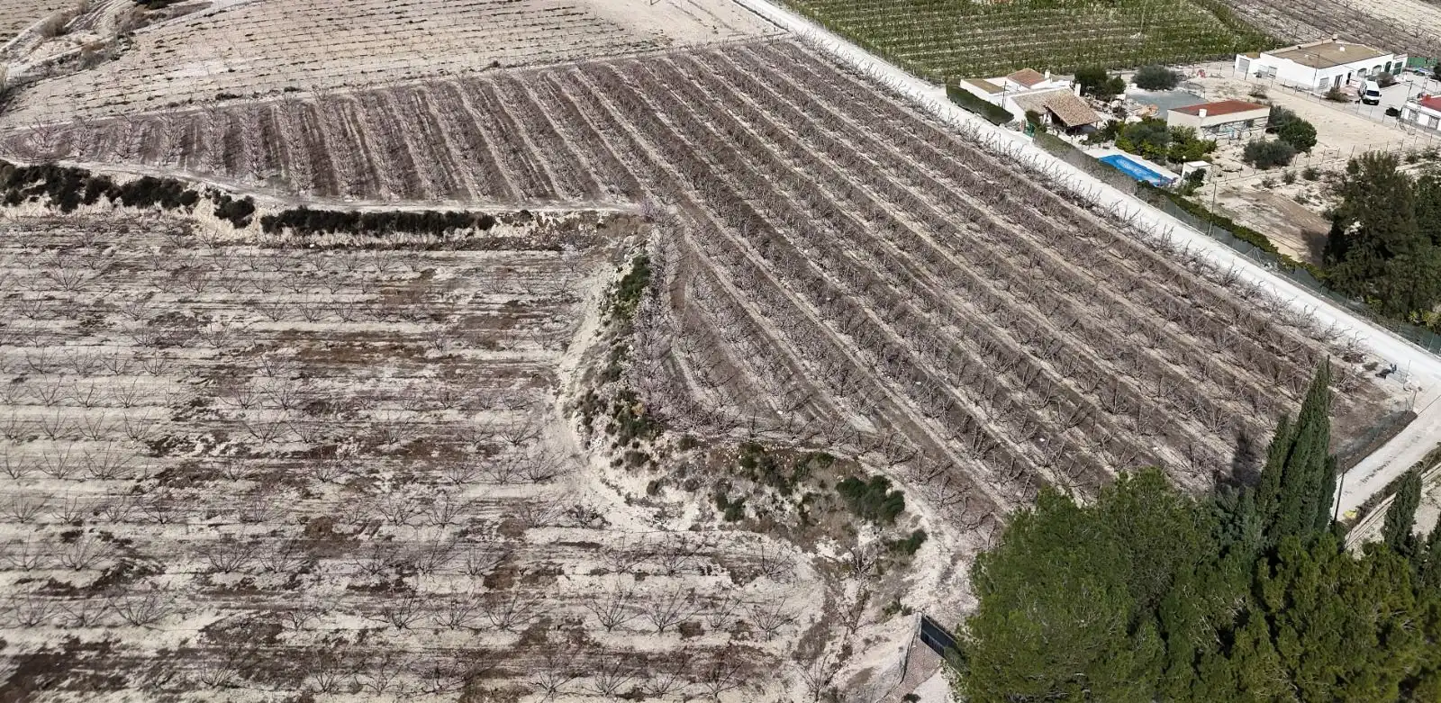 Terreno rústico en venta en Cieza, imagen 12