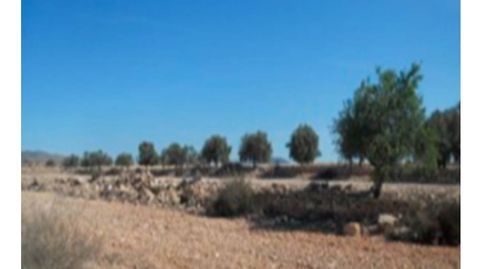 Foto 2 de Terreno en venta en Pasaje de Los Carriones, Los Martinez del Puerto, Murcia Capital