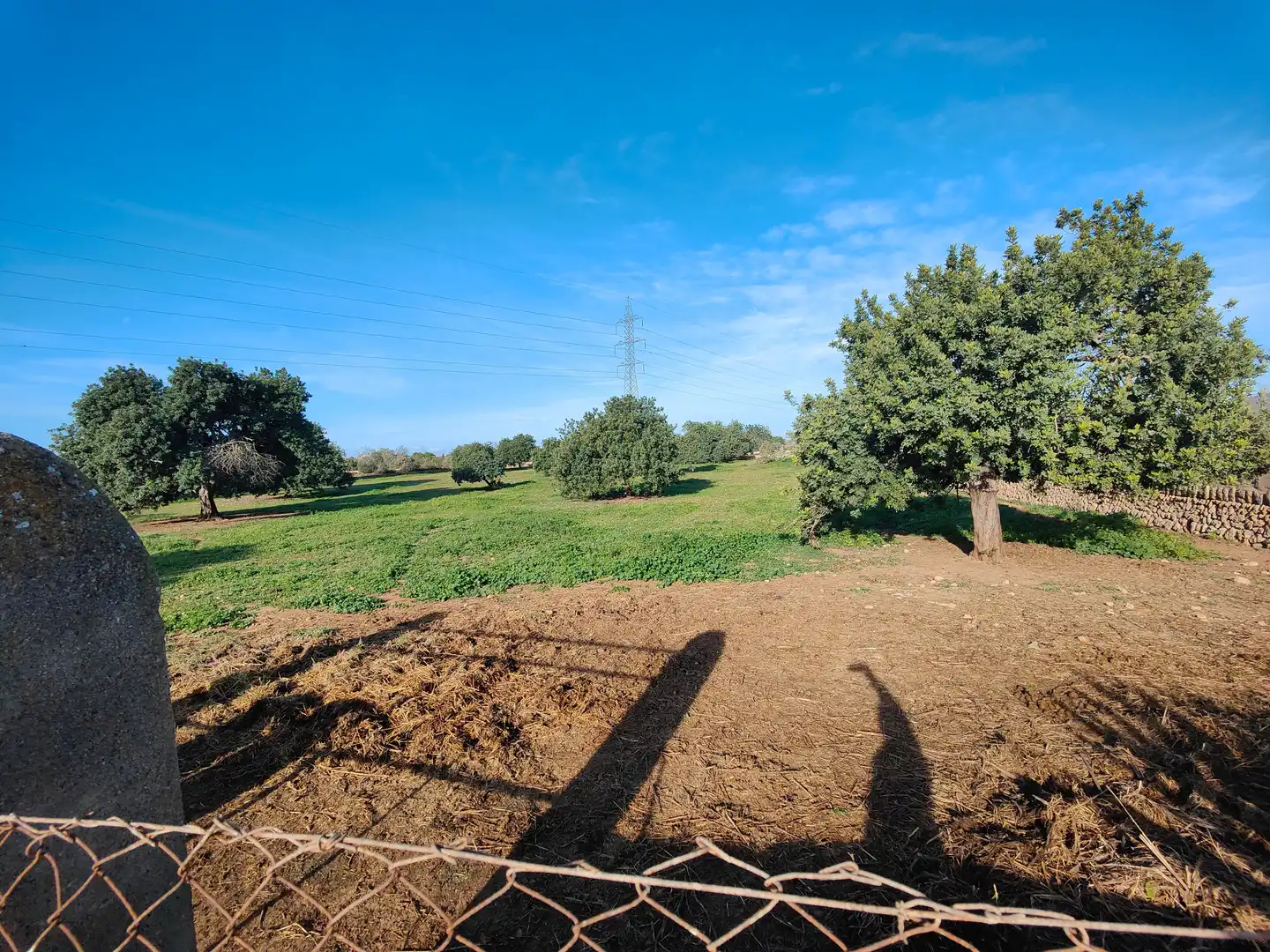 Terreno en venta en Llucmajor