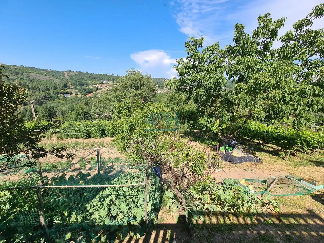 House with garden for sale in O Pereiro de Aguiar, imagen 60