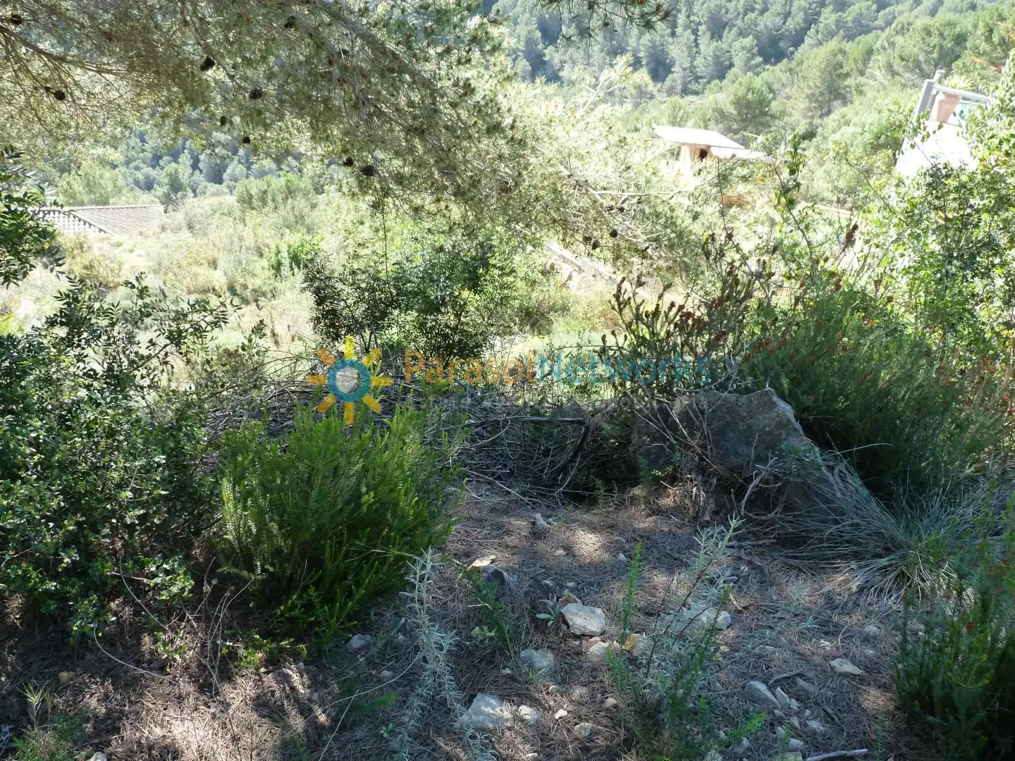 Terreno residencial en venta en Oliva pueblo, imagen 2