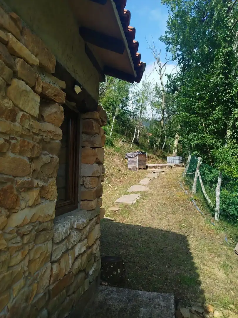 Garden of Country homes for sale in Piloña