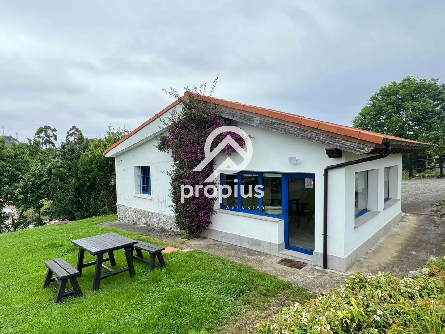 Vista exterior de Casa o chalet en venta en Ribadesella con Calefacción, Jardín privado y Terraza