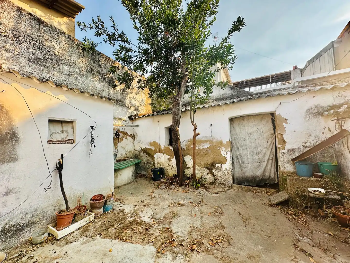 Houses for sale in Oeste