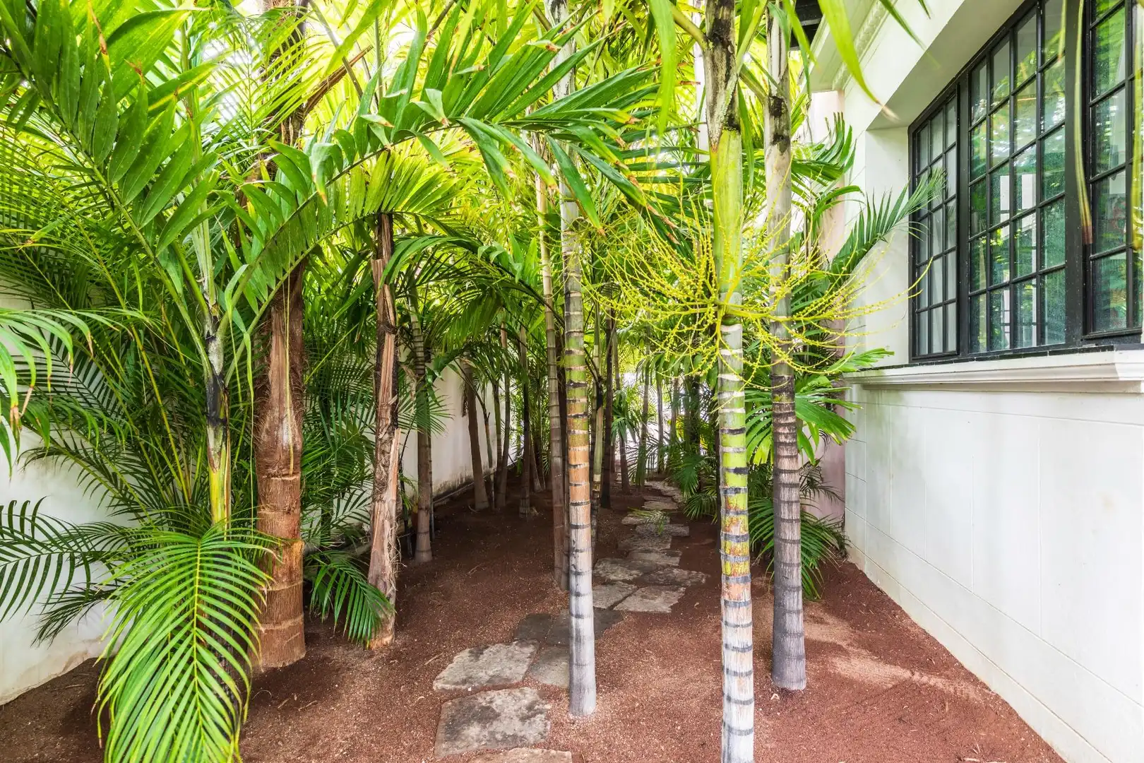 Casa o xalet en venda en Las Palmas de Gran Canaria amb Jardí privat, Terrassa i Traster