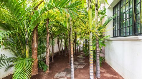 Foto 5 de Casa o chalet en venta en Calle Domingo Rivero, Ciudad Jardín, Las Palmas de Gran Canaria