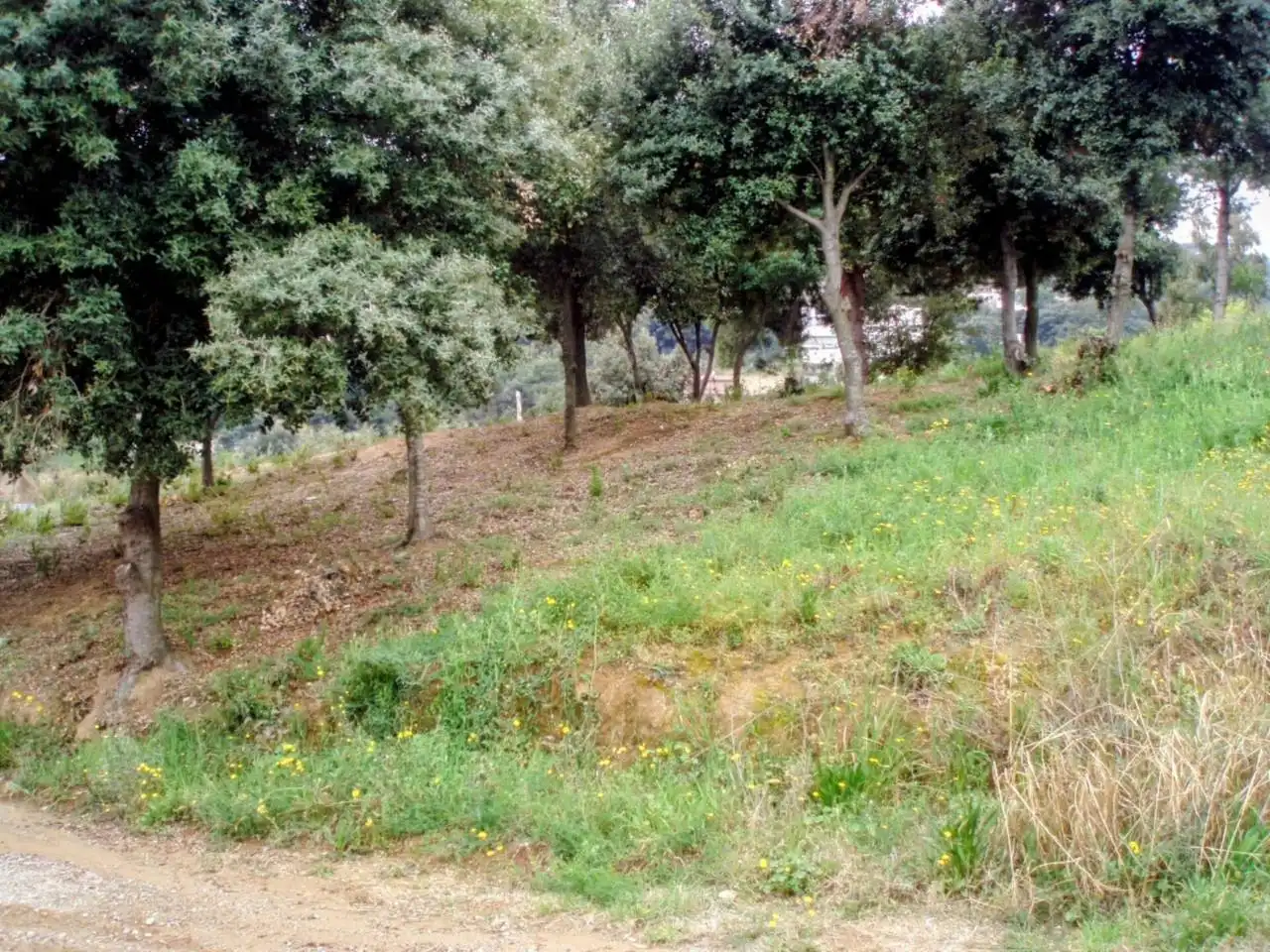 Wohnbaugrundstück zum Verkauf in Calle FONT DE LA FUSTA 61, imagen 8