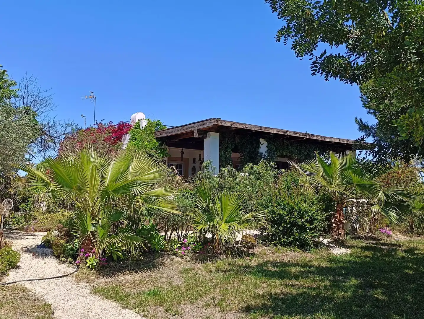 Jardí de Finca rústica en venda en Elche / Elx amb Aire condicionat, Calefacció i Jardí privat
