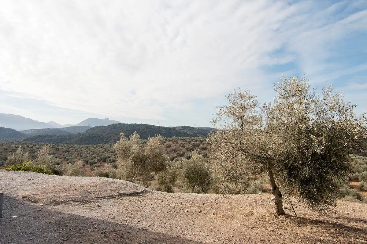 Exterior view of Country homes for sale in Loja