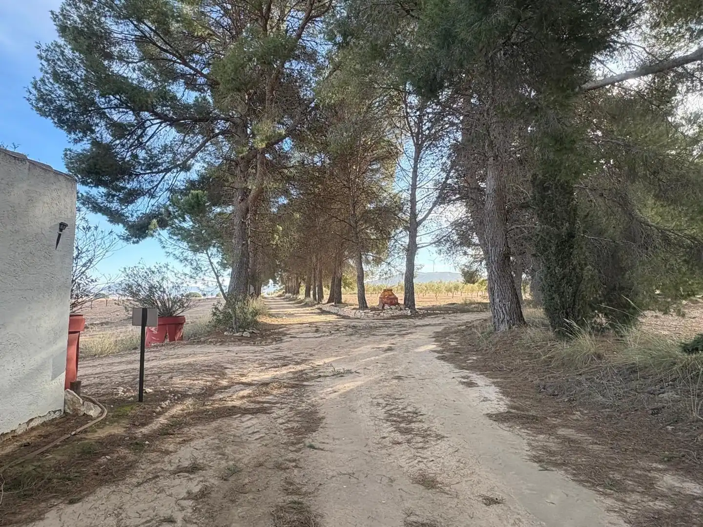 Finca rústica en venta en Ontur