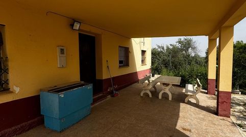 Photo 4 of Land for sale in Mata Alcozarina, Morón de la Frontera, Sevilla