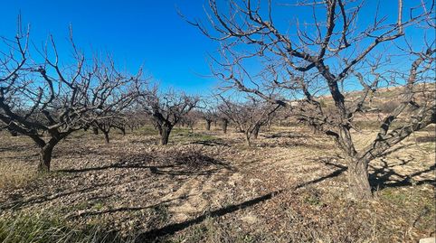 finca regadio posibilidad de construir , immagine 4