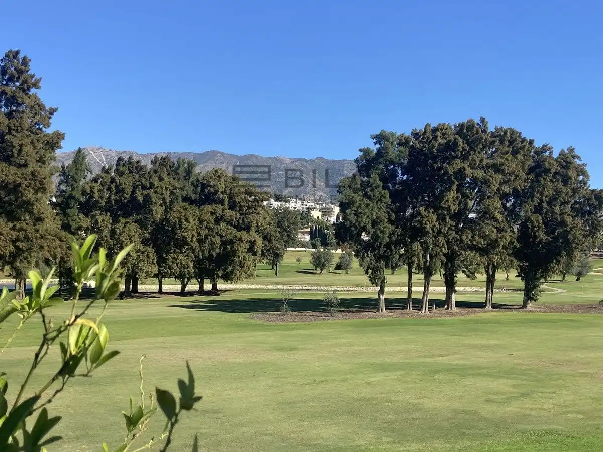 Adossat amb piscina en venda a Urb. los Olivos, imagen 36