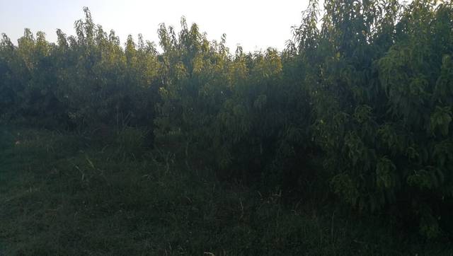 Terreno en Venta en Puigverd de Lleida