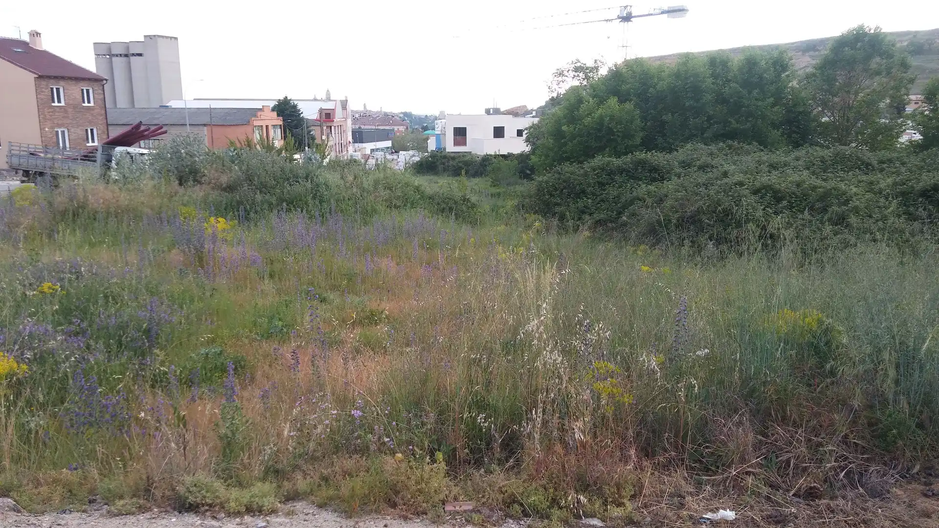 Terreny residencial en venda a Calle el Jūncal 22