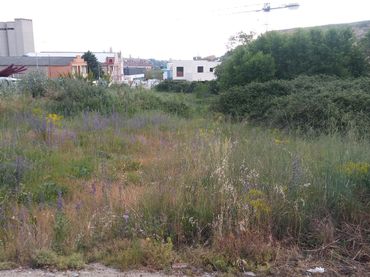 Terreny residencial en venda a Calle el Jūncal 22