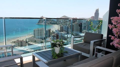 Foto 4 de Apartamento de alquiler en Playa Poniente, Benidorm