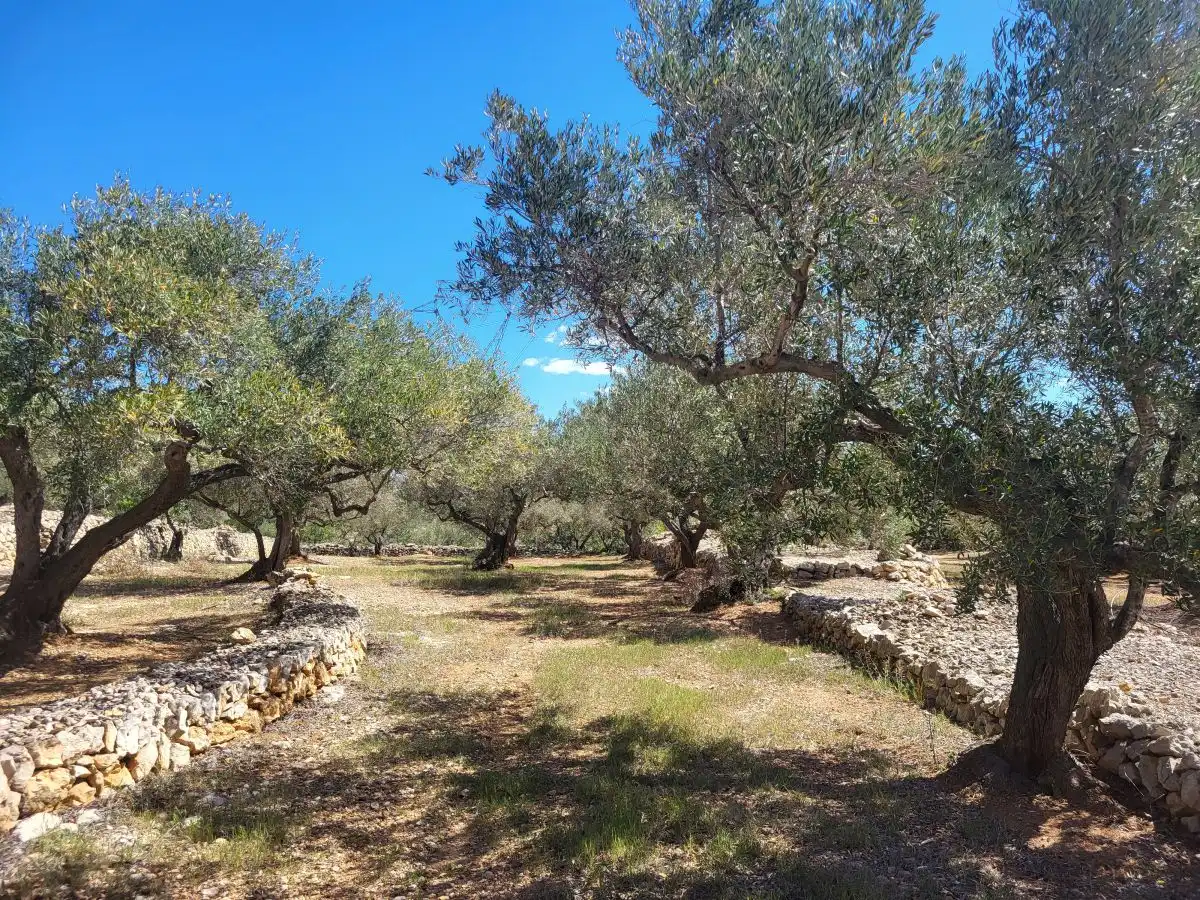 Country house for sale in Bassa del mig, imagen 2