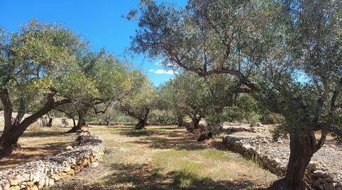 Finca Rúst. en venta en Ampolla L, 2 dormitorios., immagine 2