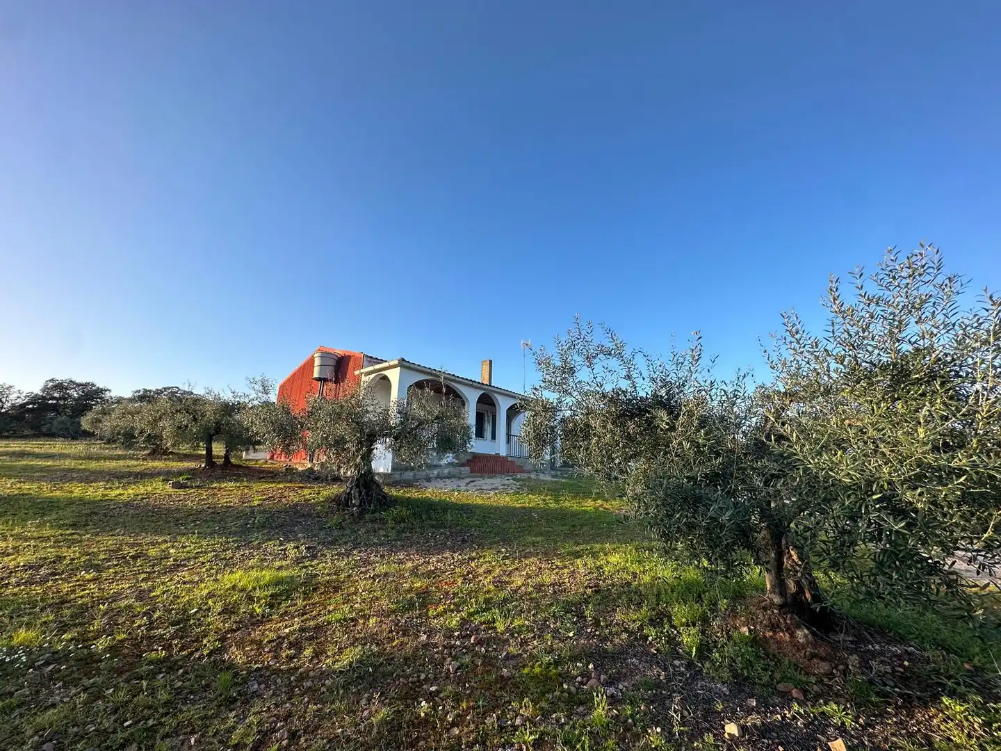Casa o chalet en venta en Santa Amalia