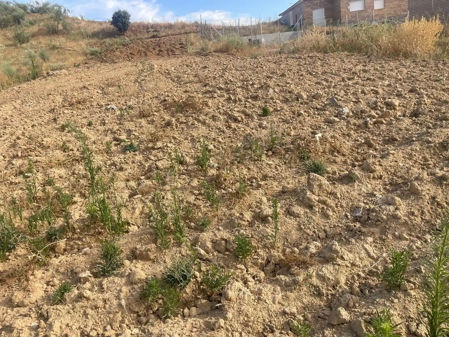 Wohnbaugrundstück zum Verkauf in Calle CAMINO DEL POZO, imagen 8