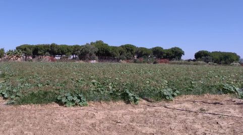 Foto 5 von Residential zum Verkauf in Monteolivete - Camino Sevilla, Sanlúcar de Barrameda