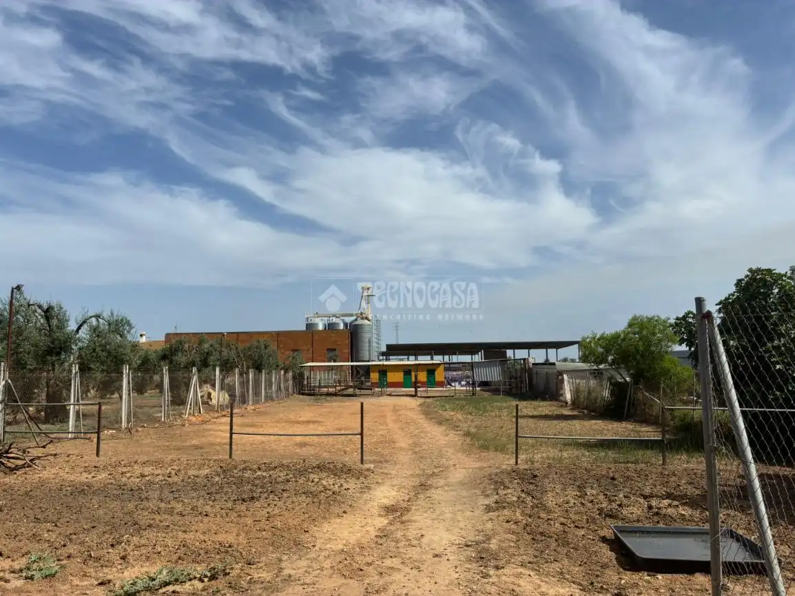 Country homes for sale in Pilas  with Private garden