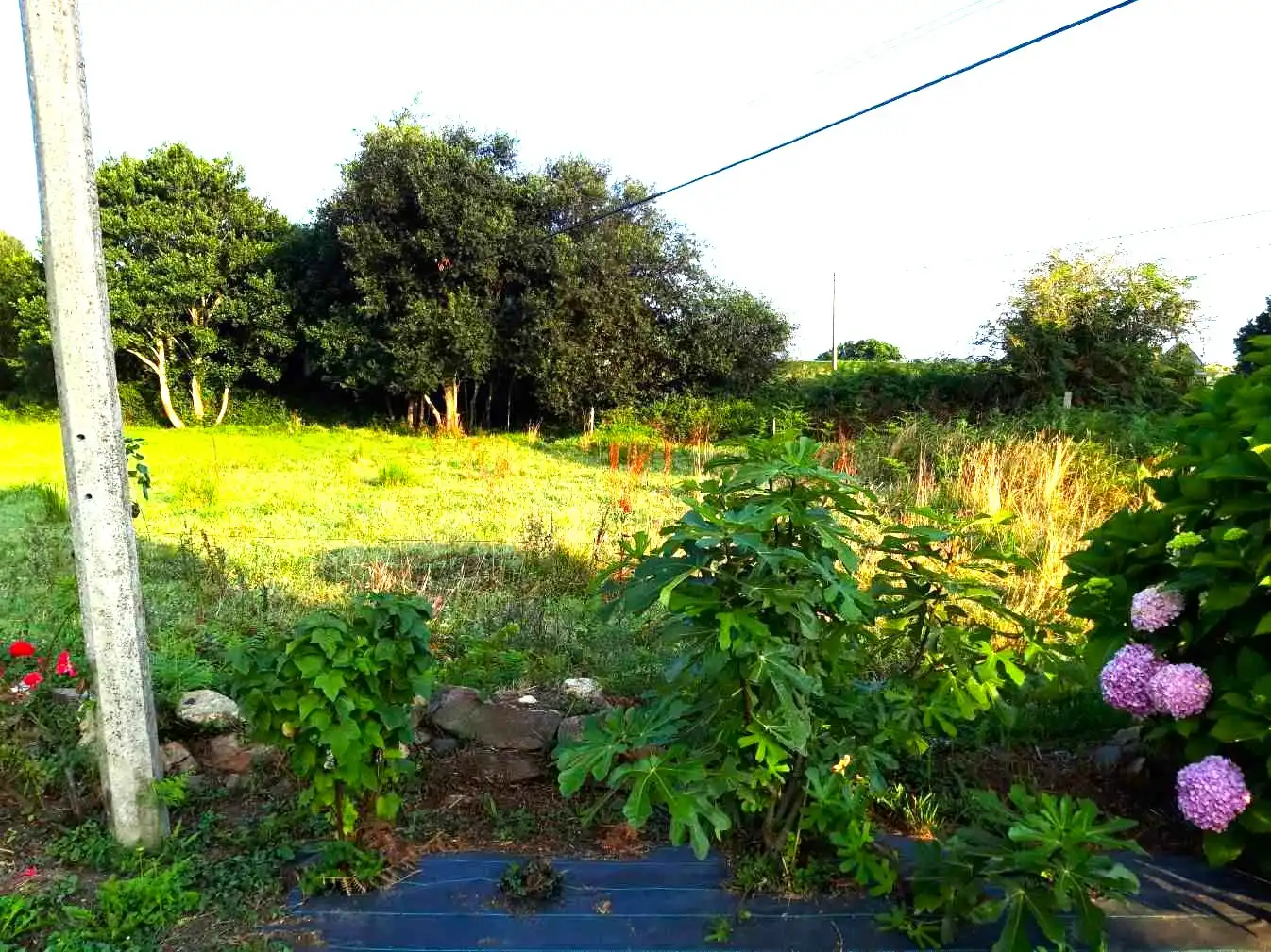 Terreni e lotti in vendita a 1. Parcela, imagen 11
