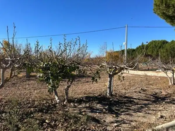 Villa avec piscine à vendre à Monóvar  / Monòver, imagen 44