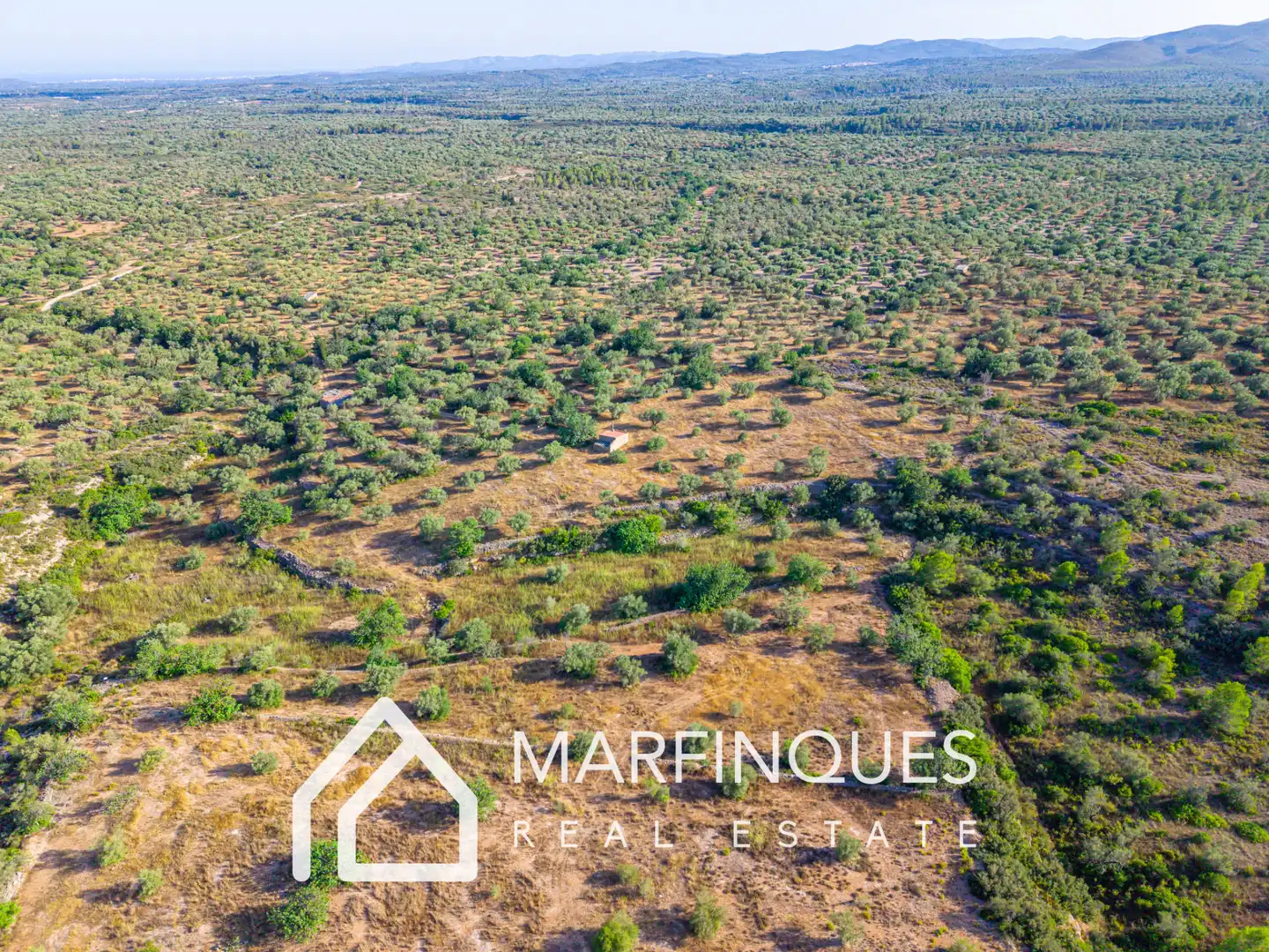 Terreno rustico in vendita a San Rafael del Río, imagen 13