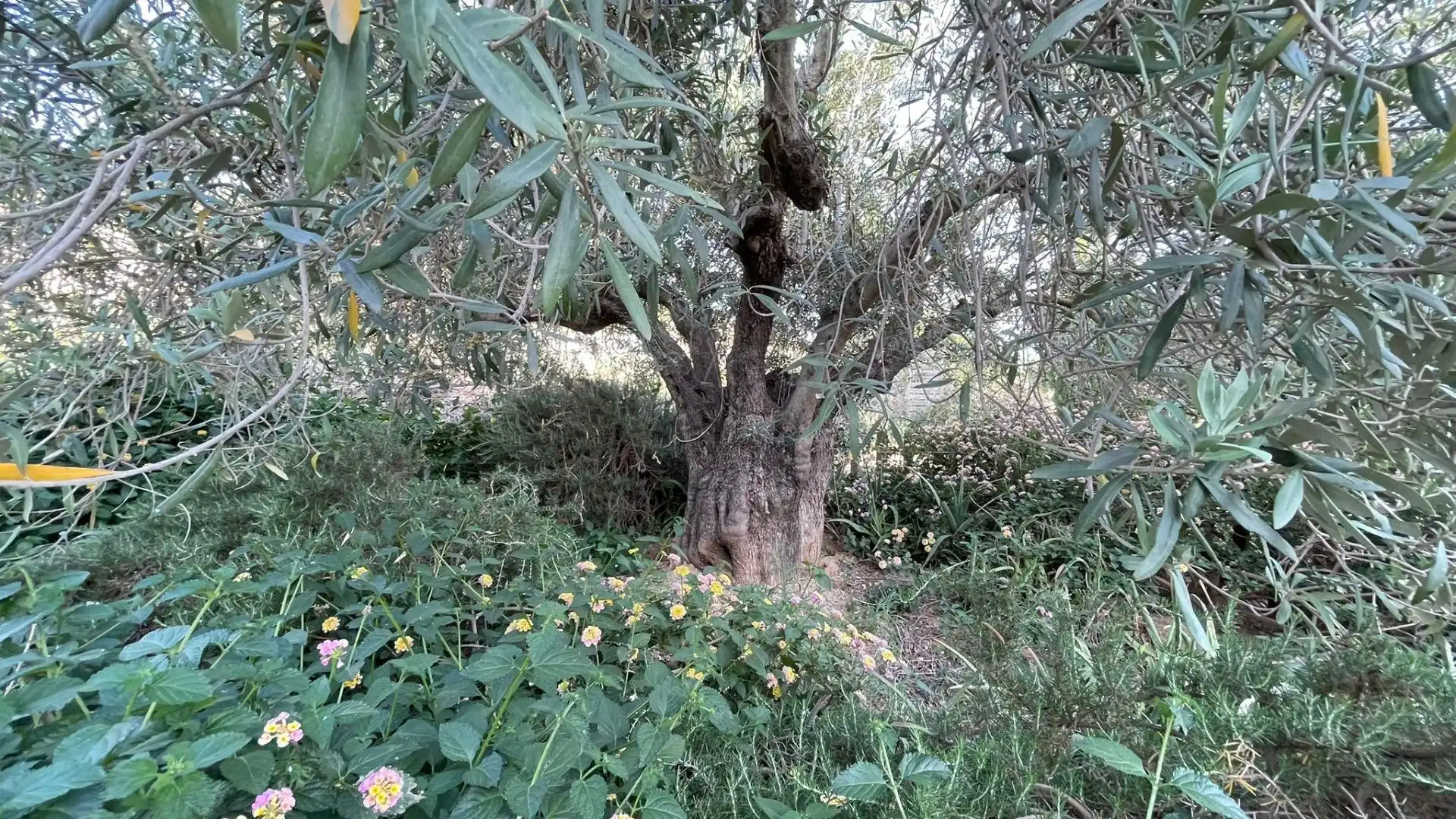 Casa rústica con jardín en venta en Los Almagros - Los Paganes - El Escobar, imagen 27