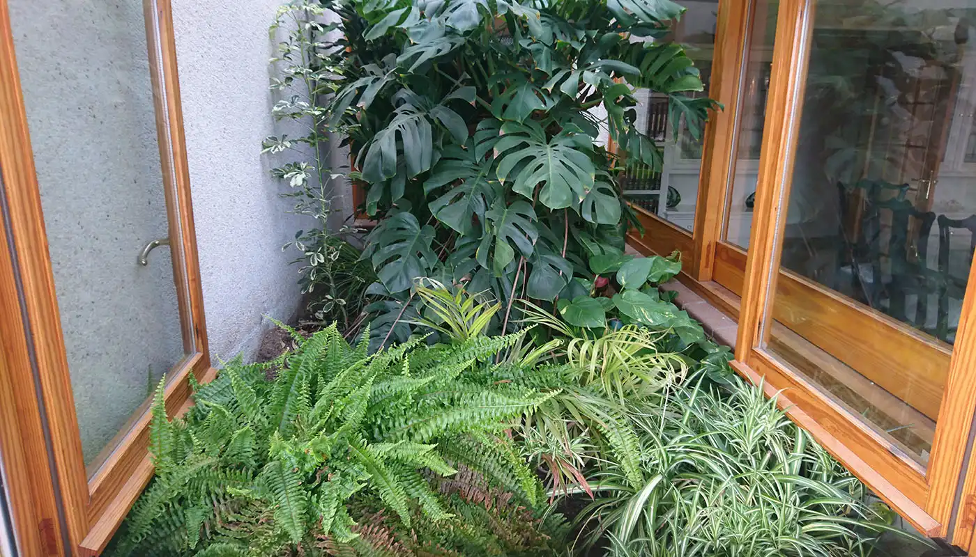 Jardí de Casa o xalet en venda en Hostalric amb Aire condicionat, Calefacció i Jardí privat