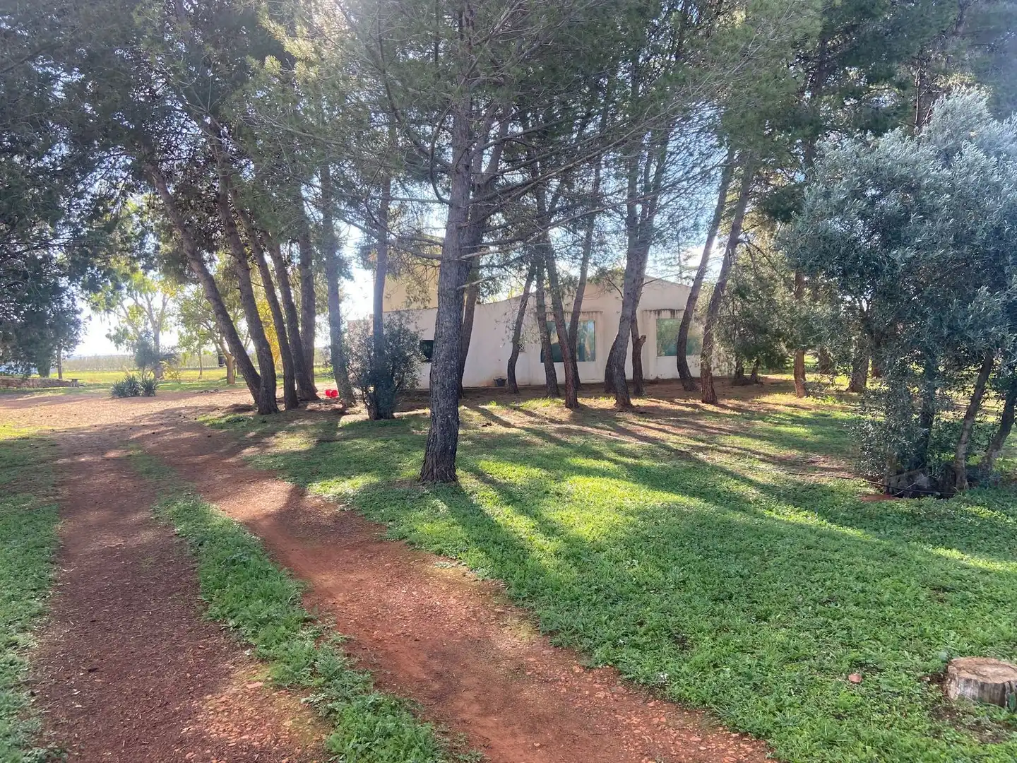 Casa o chalet en venta en Almagro con Aire acondicionado, Calefacción y Jardín privado