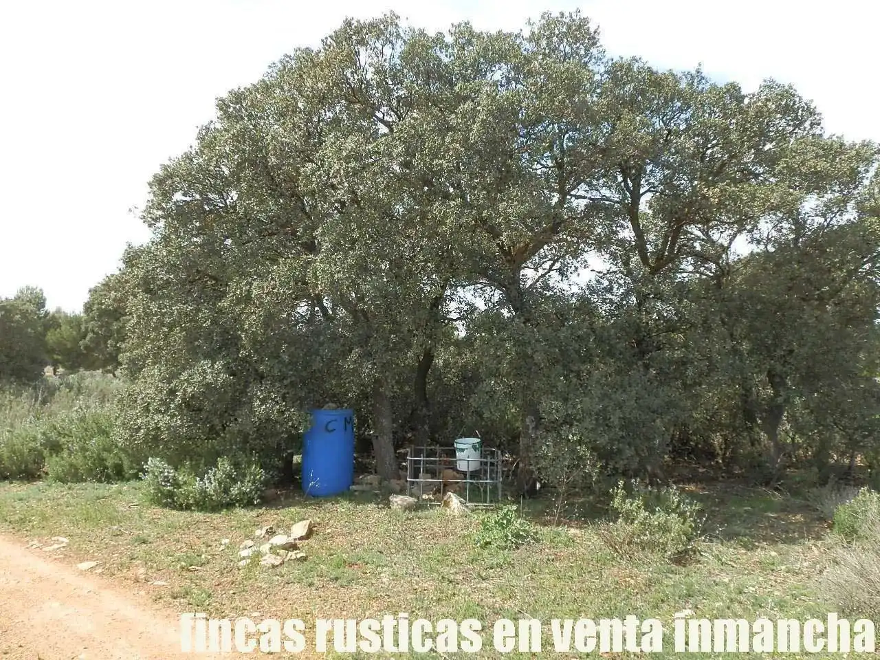 Terreni e lotti in vendita a Villarrobledo, imagen 2