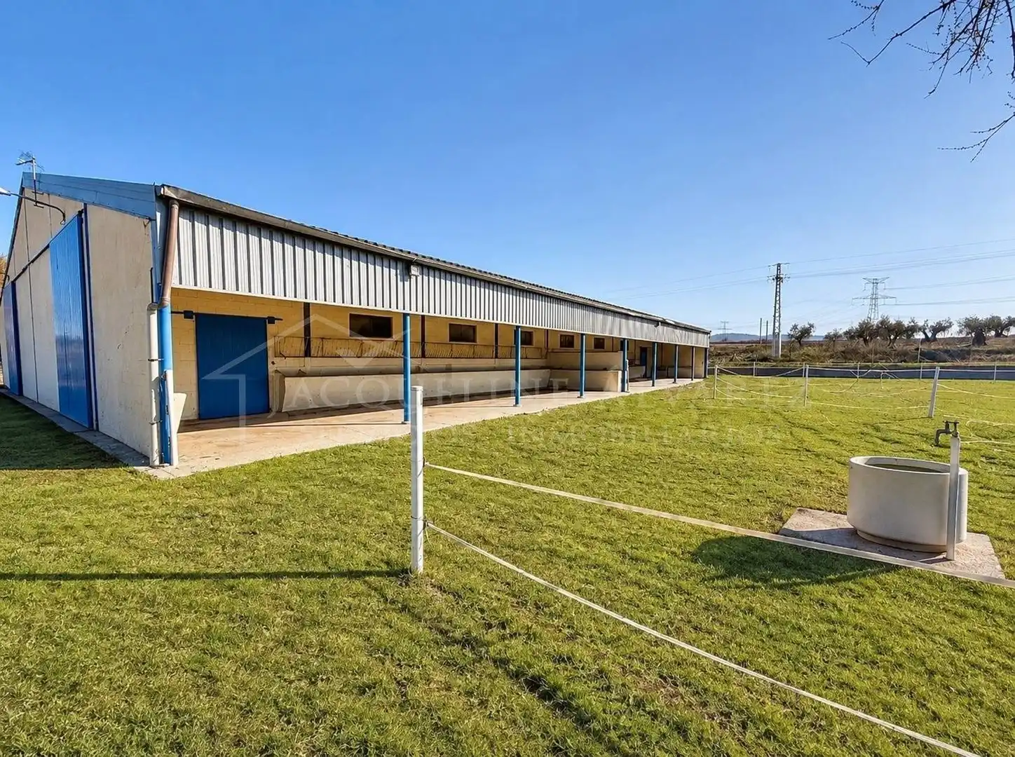 Vista exterior de Finca rústica en venta en Yeles con Jardín privado