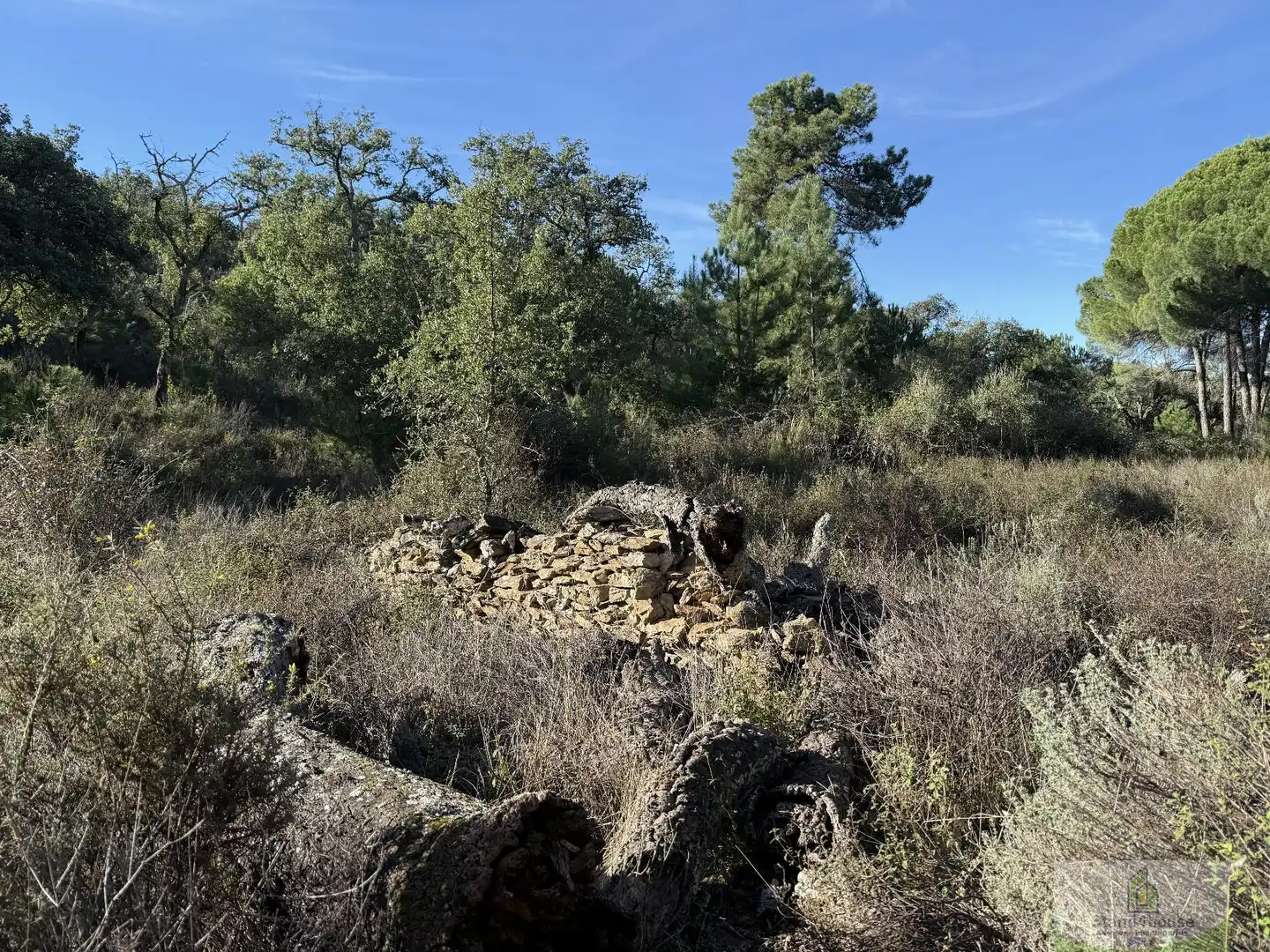 Residencial en venda en Berrocal
