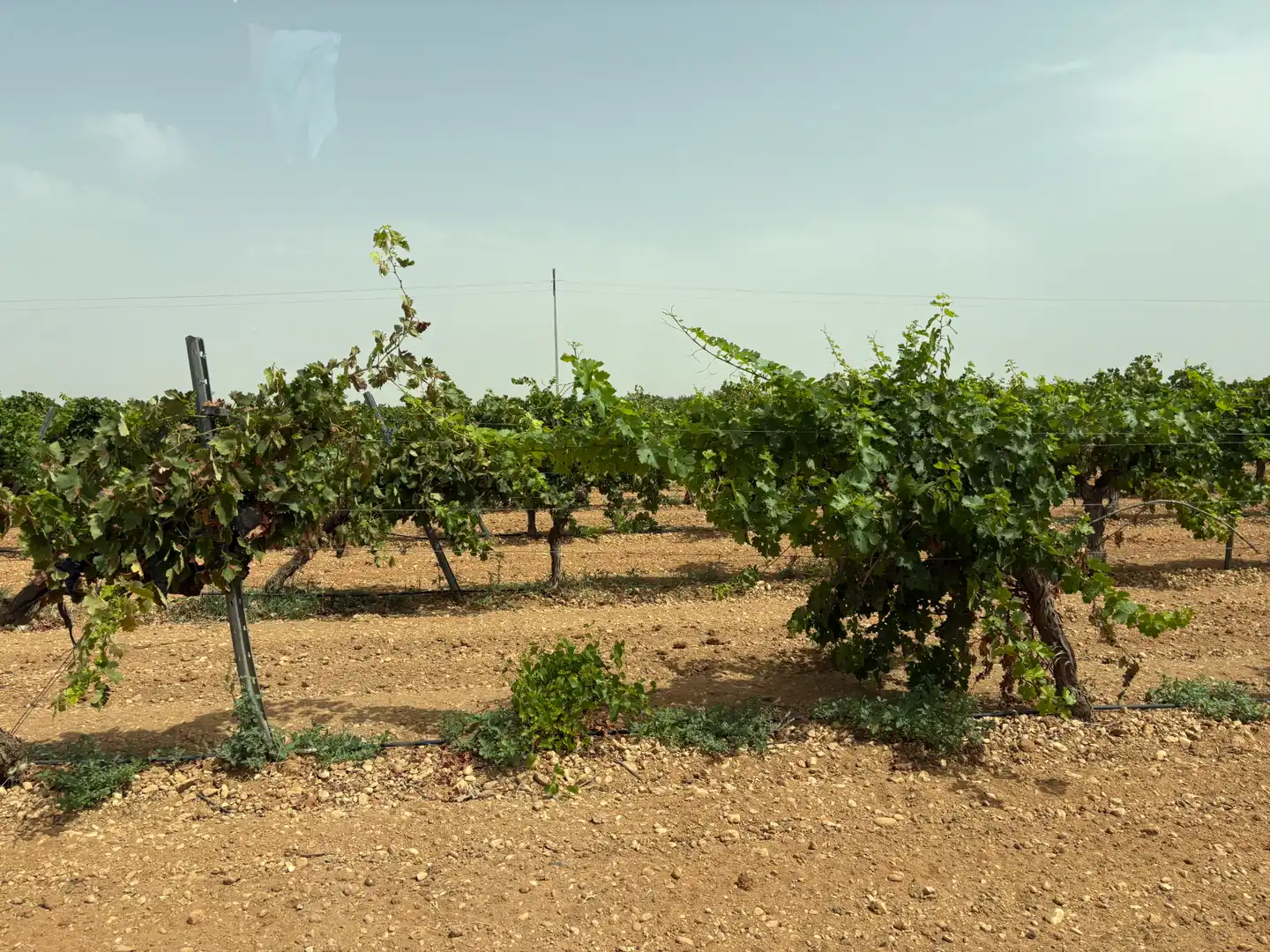 Terreno rustico in vendita a N/A, imagen 18