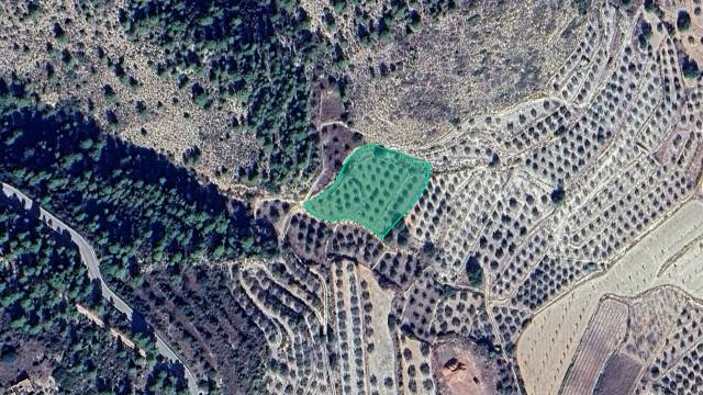 Terreno en Venta en Ptda Viña Vieja en El Bebedero - Pinolere - Aguamansa