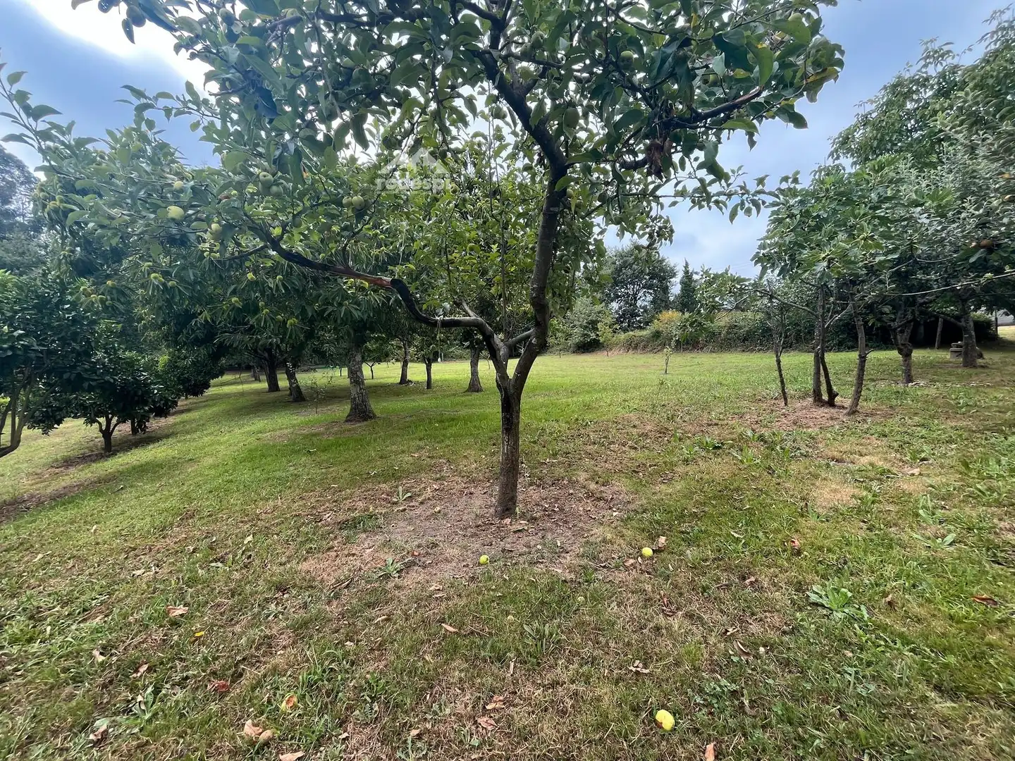 Rural land for sale in Covelo, imagen 16
