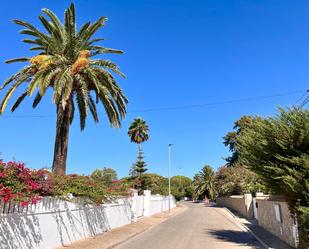 Vista exterior de Residencial en venda en Chiclana de la Frontera