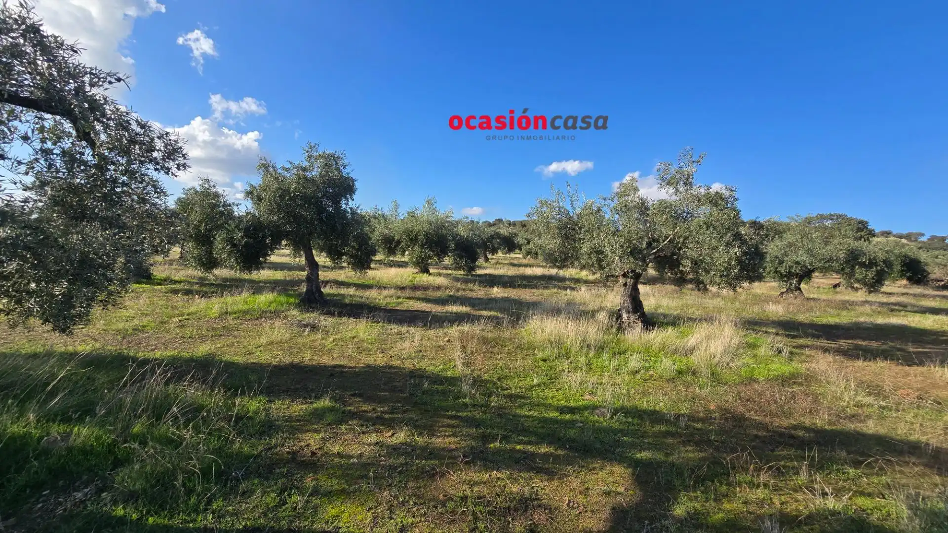 Wohnbaugrundstück zum Verkauf in La Granjuela, imagen 27