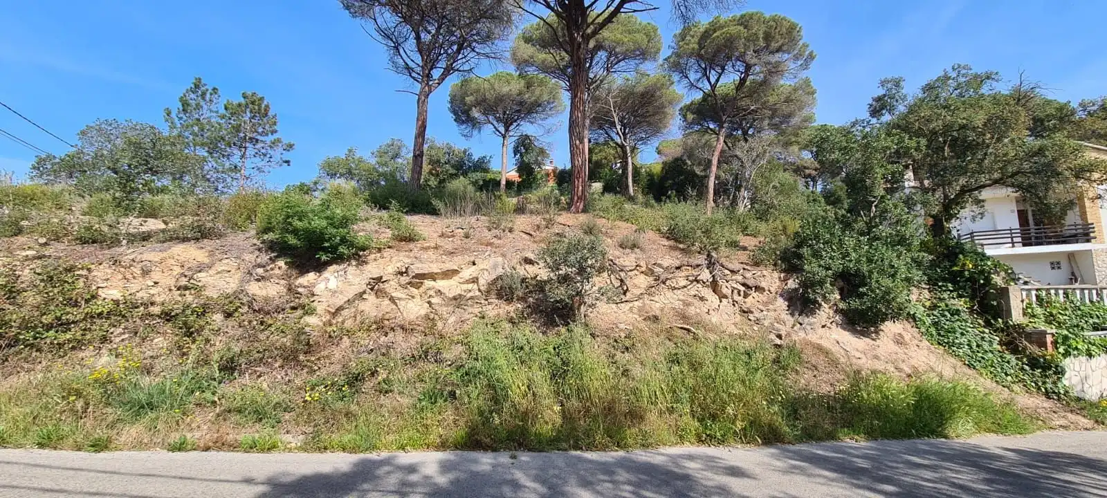 Residential land for sale in Carrer Congost, imagen 8