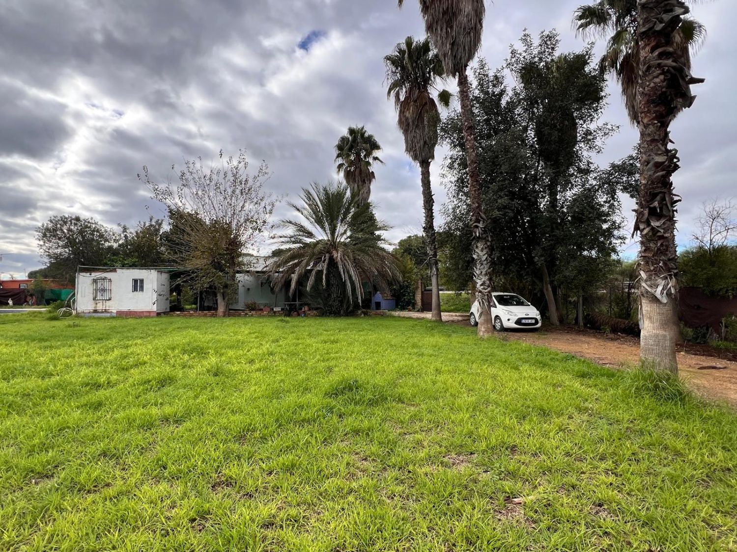 Casa o xalet en venda en Los Palacios y Villafranca amb Piscina