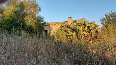 Foto 2 de Finca rústica en venda a Lloret de Vistalegre, Illes Balears
