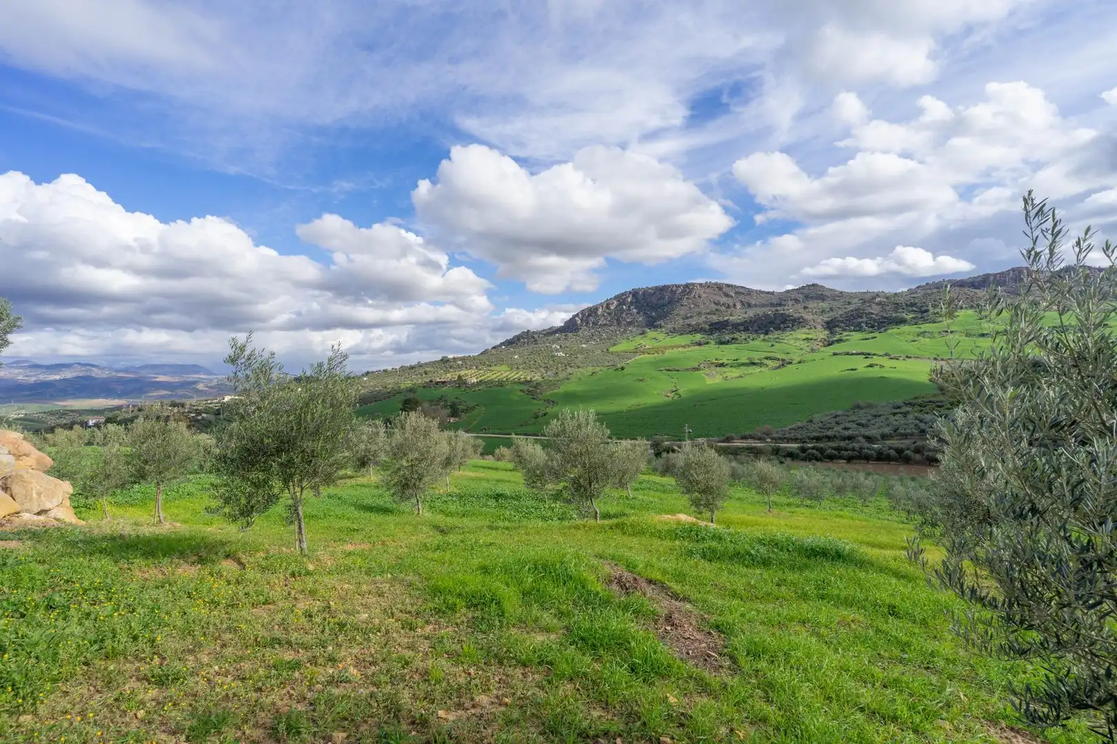 Villa zum Verkauf in Álora, imagen 65
