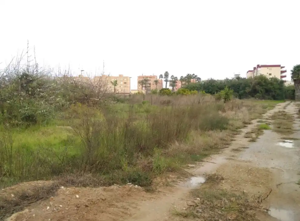 Rural land for sale in Sc 13 - La Marina -, imagen 8