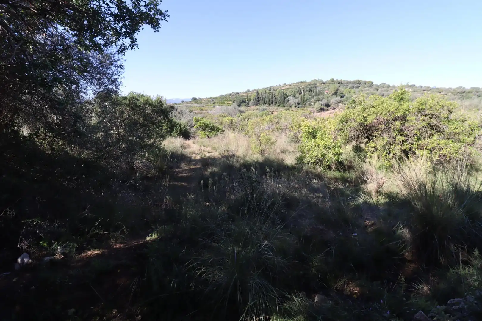 Grundstücke zum Verkauf in Ulldecona