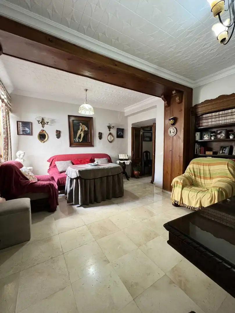 Sala d'estar de Casa o xalet en venda en Estepa amb Terrassa, Traster i Piscina