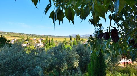 ¡Descubre el encanto de la vida rural en esta espectacular finca rústica a solo 15 minutos de Ronda!, imatge 5
